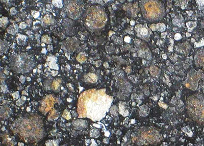 NWA 4818 carbonaceous chondrite