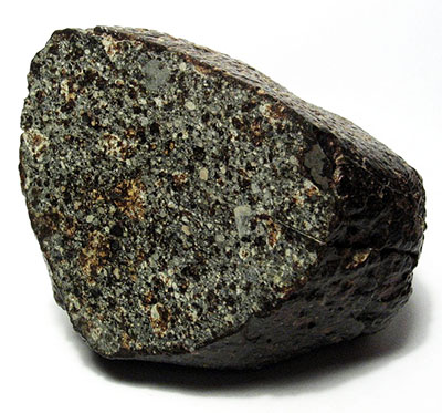 NWA 869 Meteorite
